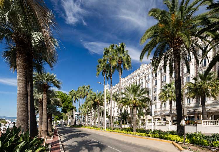 Croisette highlights - Cannes