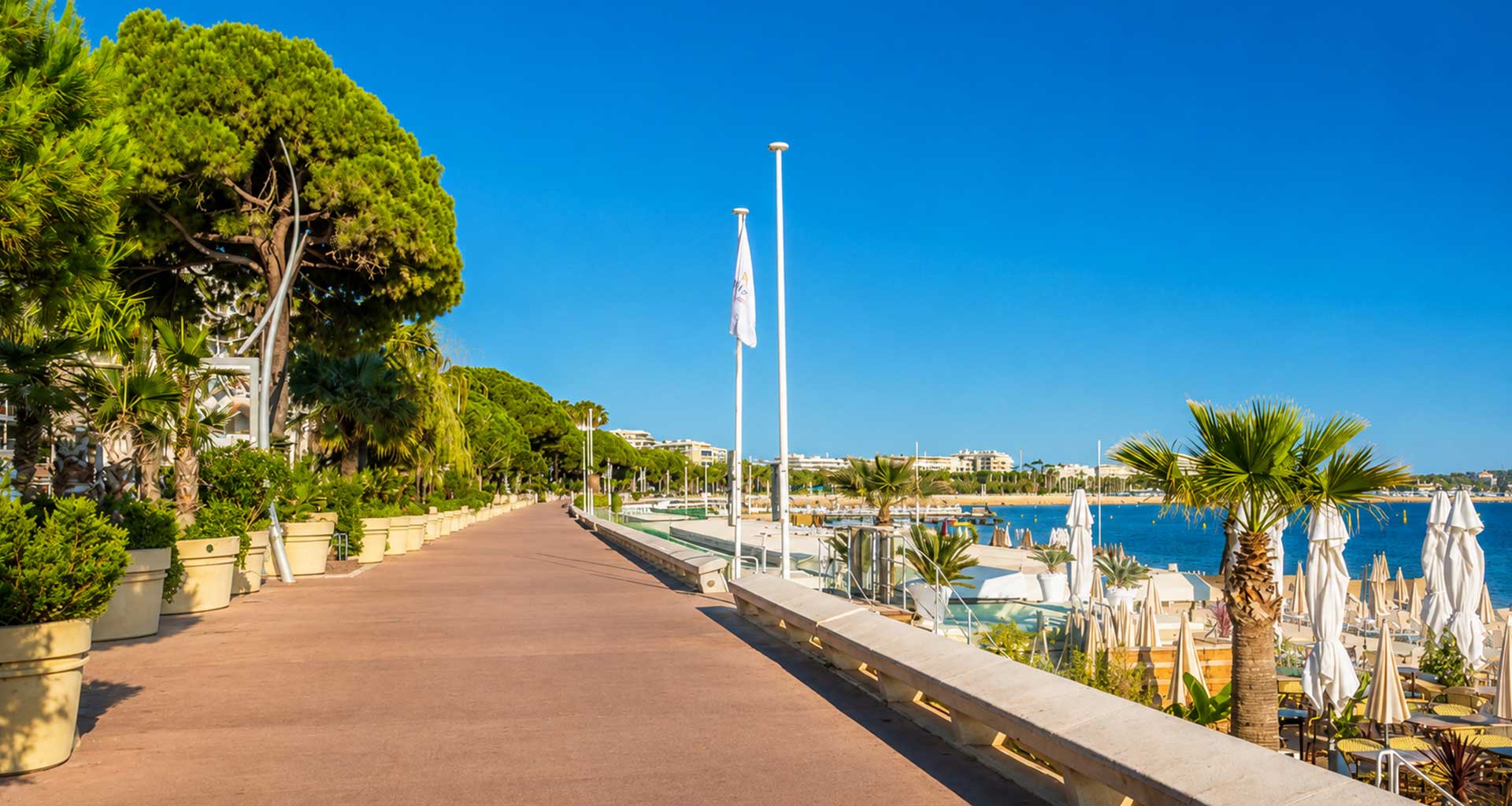La Croisette in Cannes - Cannes